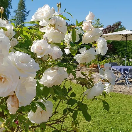 Cherville Bed and Breakfast *