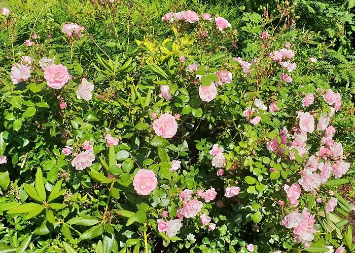 Frühstückspension Cherville